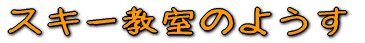 XL[̂悤